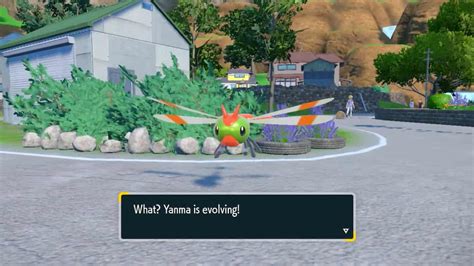 Yanmega: How To Get And Evolution .